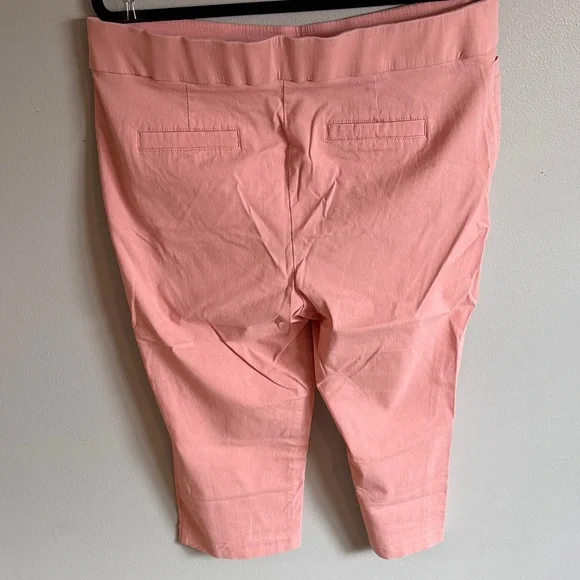 Kim Rogers Stretch, Pull On, Tummy Control, Coral Cropped Stretch Pants Size 16 - Picture 4 of 4